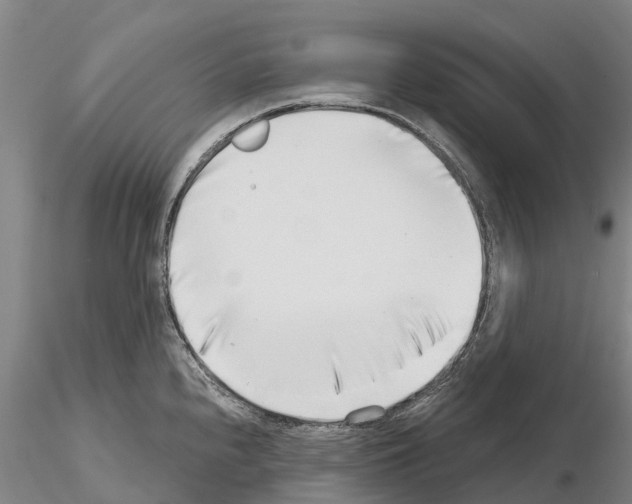 X0000115011240200912071156