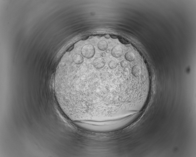 X0000115011241200912071156