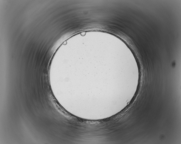 X0000115011242200912071156
