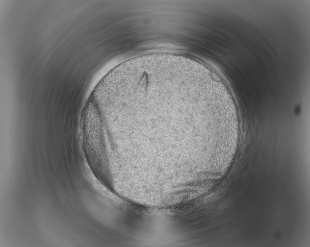 X0000115011243200912071156