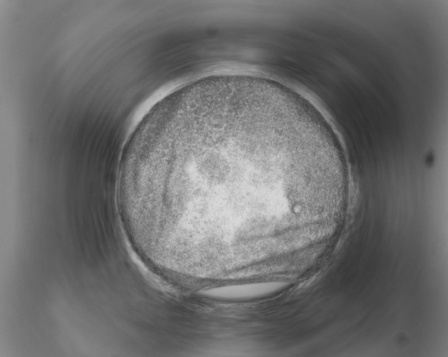 X0000115011245200912071157