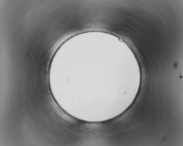 X0000115011246200912071157