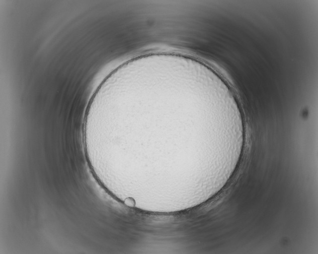 X0000115011247200912071157