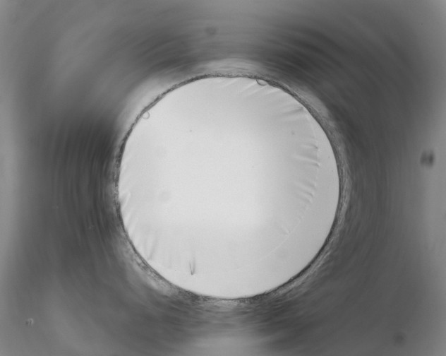 X0000115011248200912071157