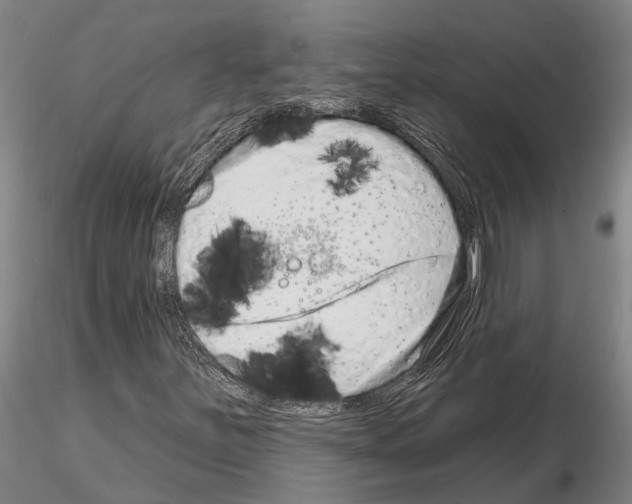 X0000115011251200912071156