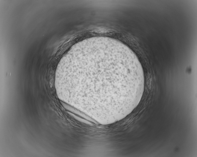 X0000115011253200912071156