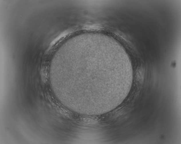 X0000115011254200912071156