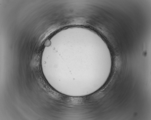 X0000115011258200912071156