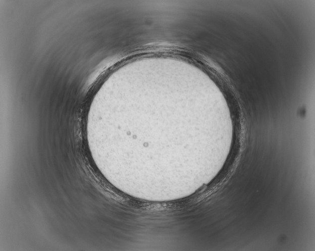 X0000115011259200912071156