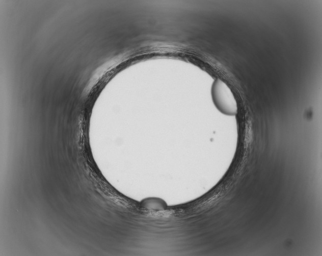 X0000115011261200912071156