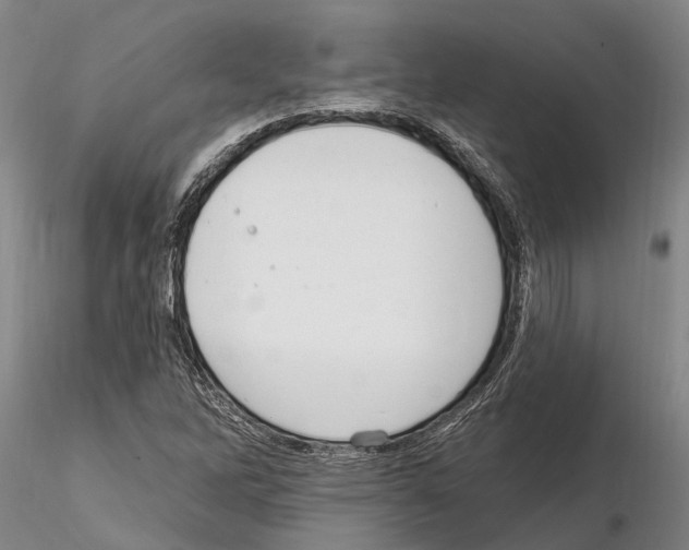 X0000115011262200912071156