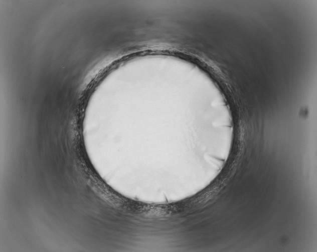 X0000115011263200912071156