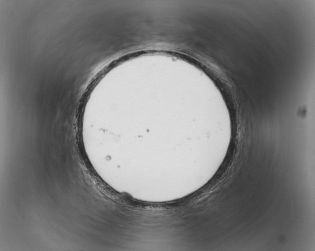 X0000115011264200912071156
