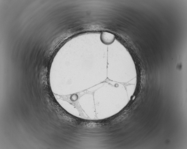 X0000115011265200912071156