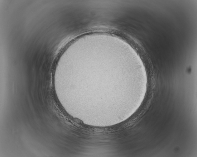 X0000115011267200912071156