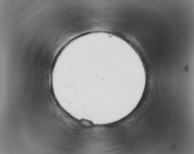 X0000115011268200912071156