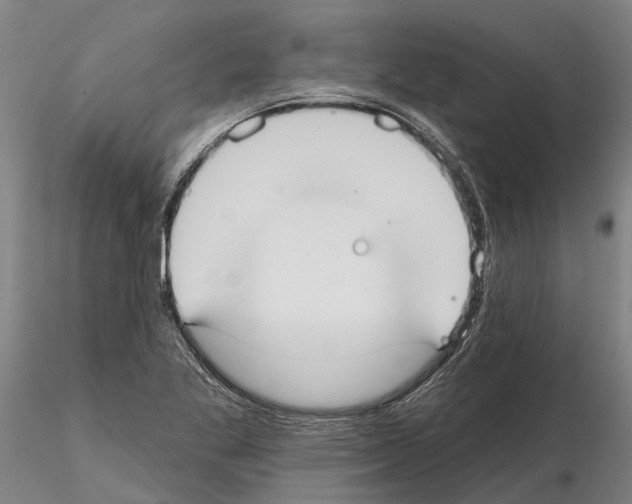 X0000115011269200912071156