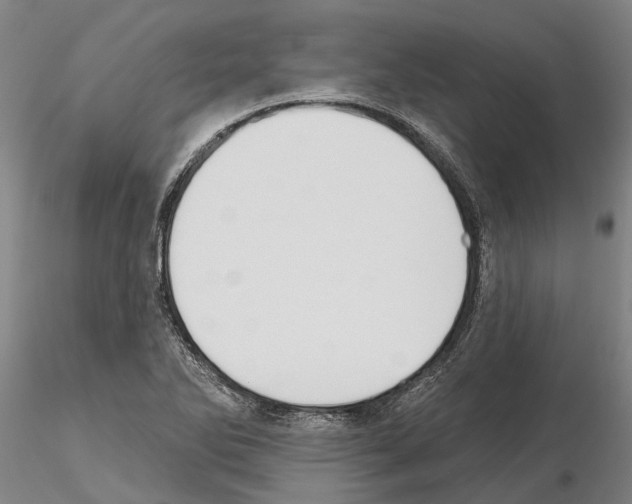 X0000115011270200912071156