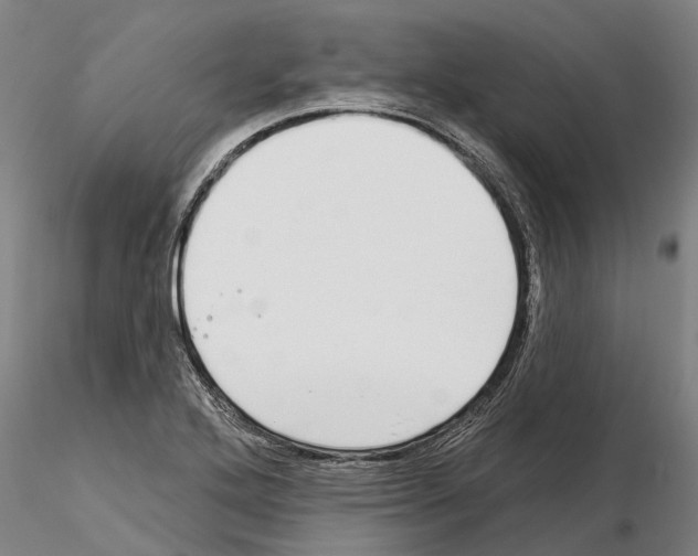 X0000115011272200912071156