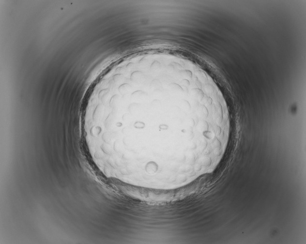 X0000115011274200912071156