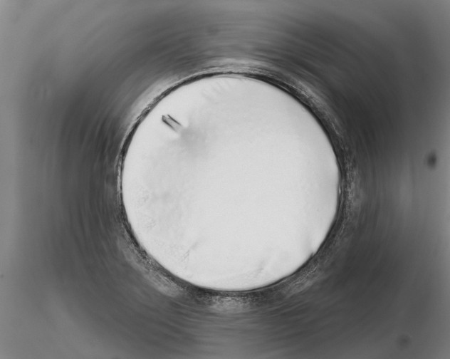 X0000115011275200912071156