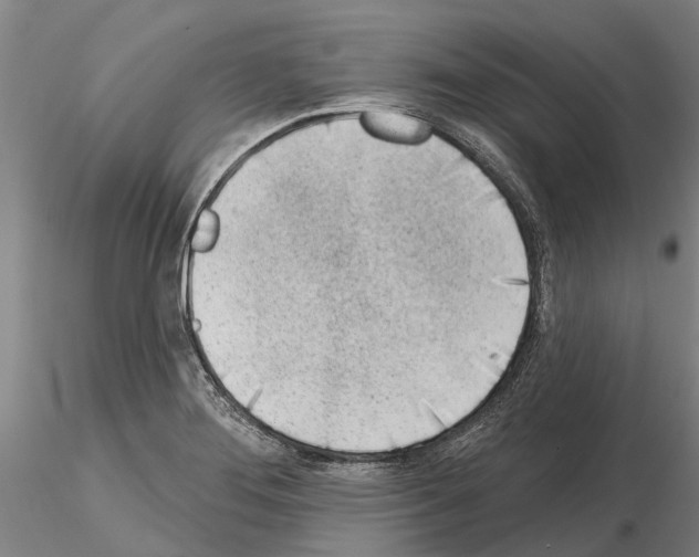X0000115011276200912071156