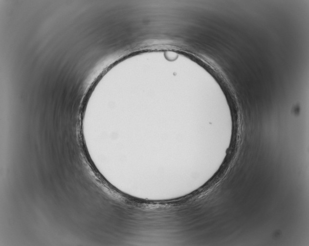 X0000115011277200912071156