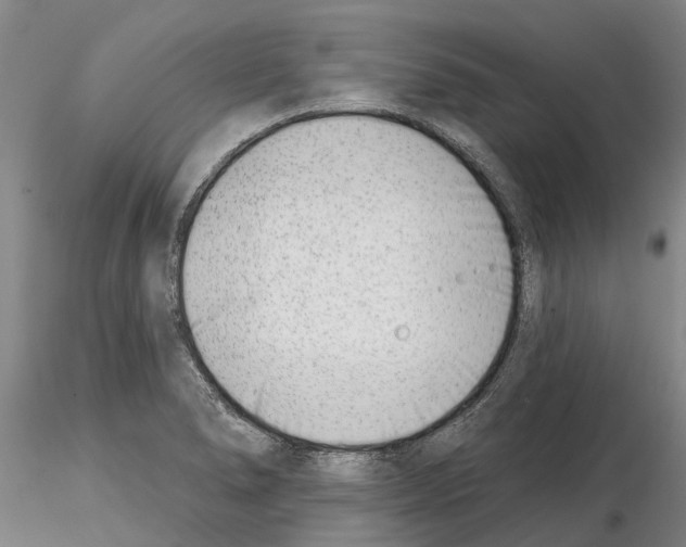 X0000115011278200912071156