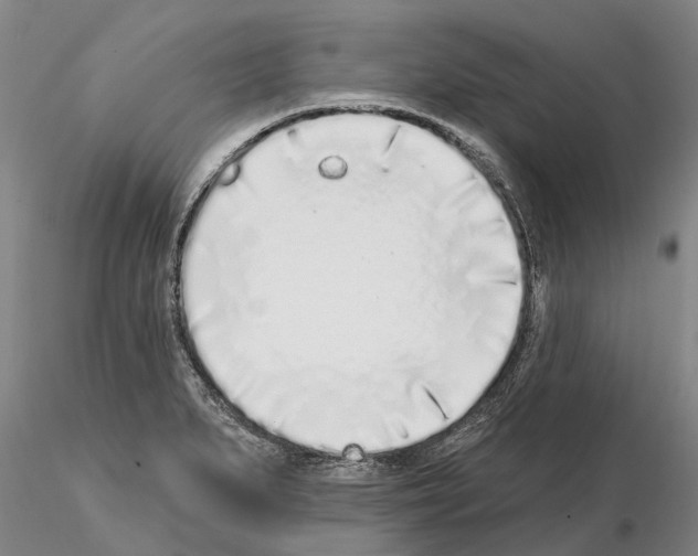 X0000115011279200912071155