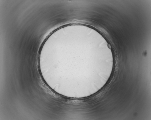 X0000115011280200912071155
