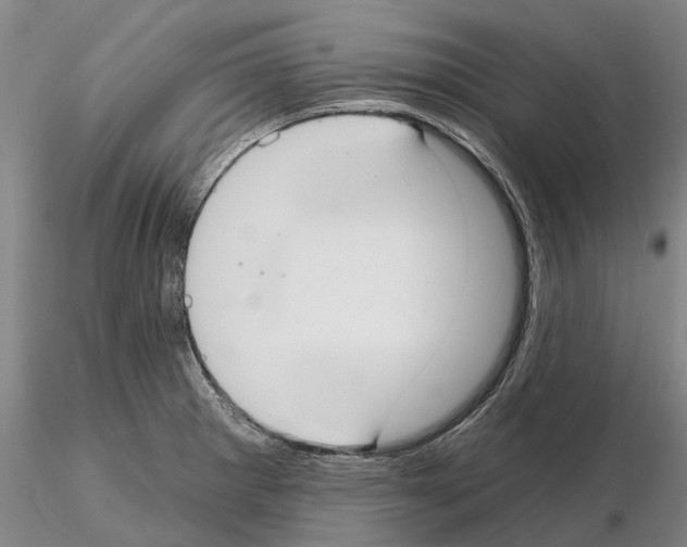 X0000115011281200912071155