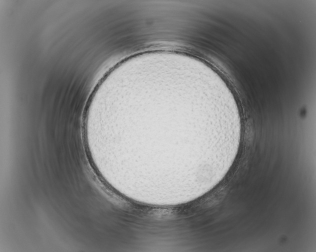 X0000115011283200912071155