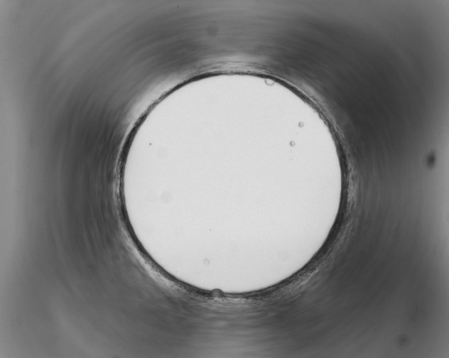 X0000115011285200912071155