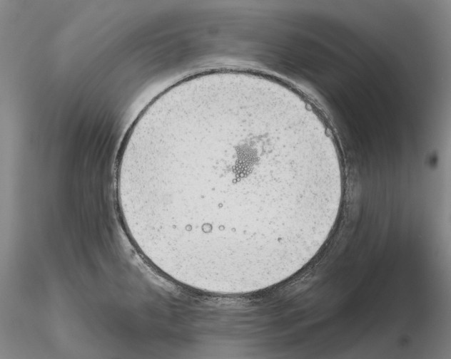 X0000115011287200912071155