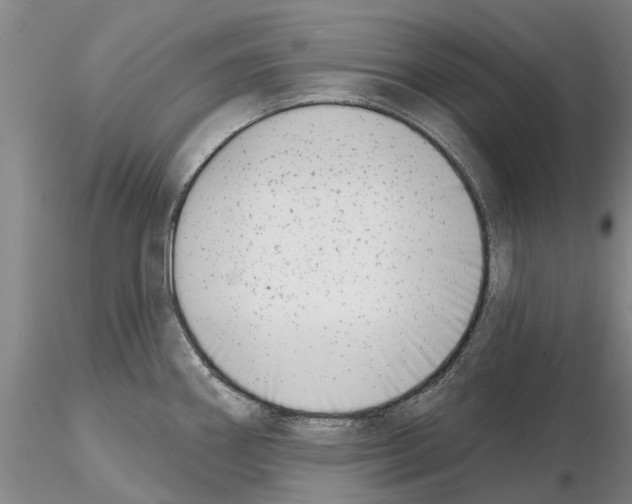 X0000115011290200912071155