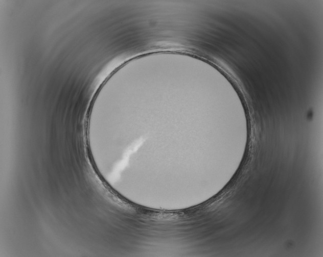 X0000115011291200912071155