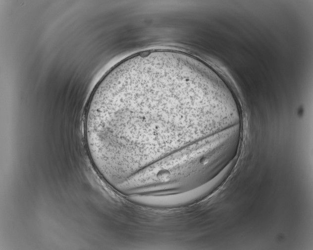 X0000115011292200912071155