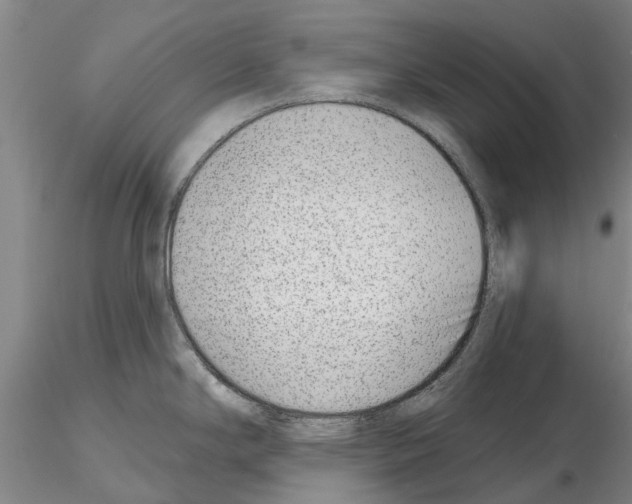 X0000115011294200912071155