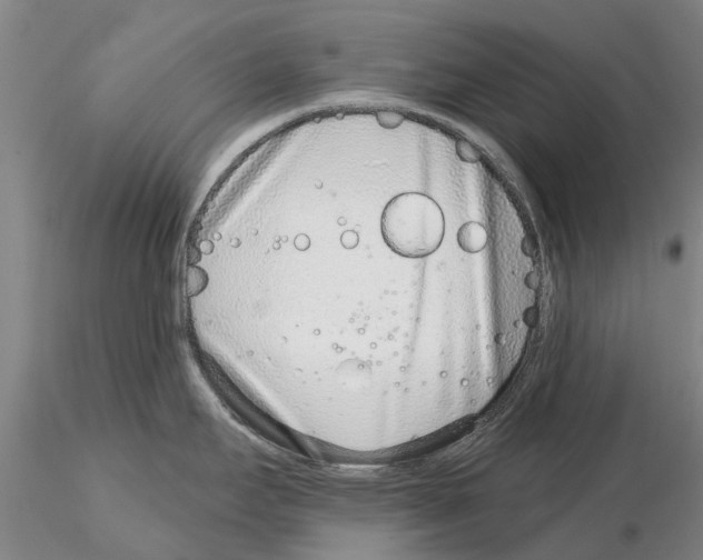 X0000115011295200912071155