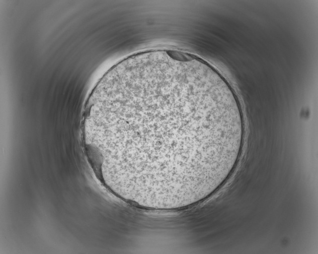 X0000115011296200912071155