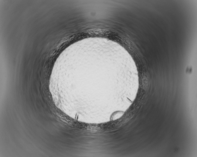 X0000115011297200912071155