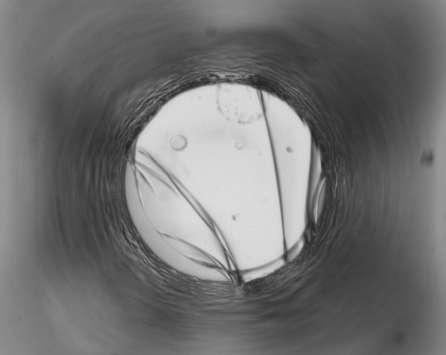 X0000115011298200912071155