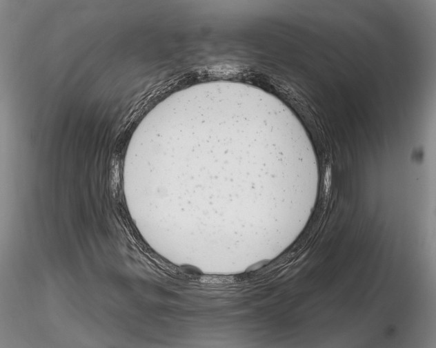 X0000115011299200912071155