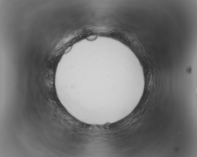 X0000115011301200912071155