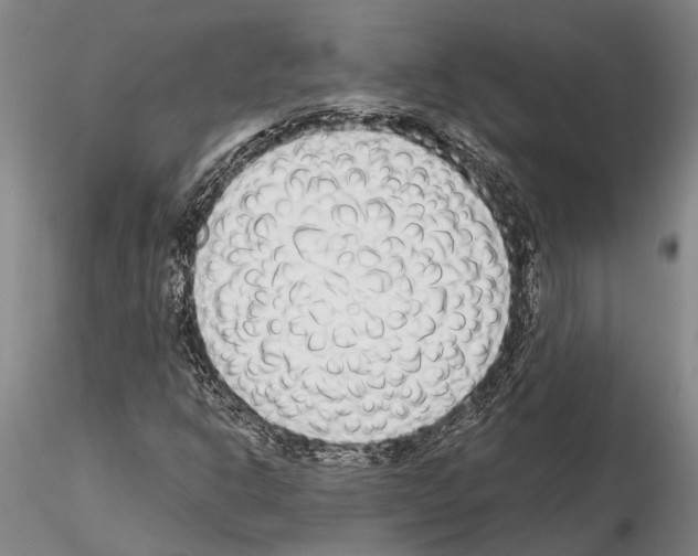 X0000115011302200912071155