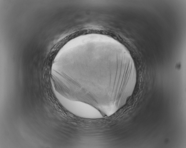 X0000115011303200912071155