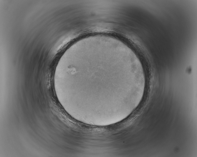 X0000115011306200912071155