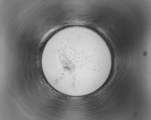 X0000115011307200912071155