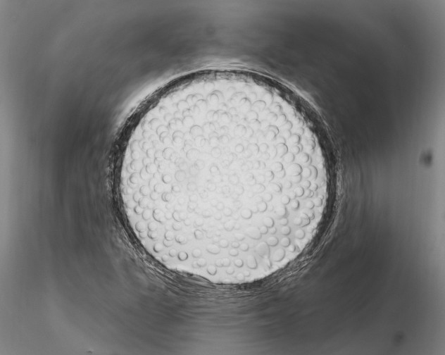 X0000115011311200912071155