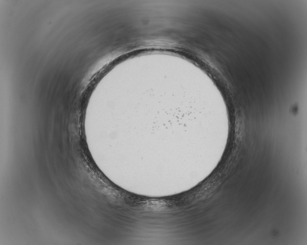 X0000115011315200912071155